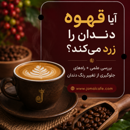 آیا قهوه دندان را زرد می‌کند؟ بررسی علمی + راه‌های جلوگیری از تغییر رنگ دندان
