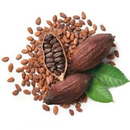 تفاوت کاکائو و ککو cacao-cocoa