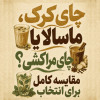 «چای کرک، ماسالا یا چای مراکشی؟ مقایسه کامل برای انتخاب بهترین چای