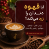 آیا قهوه دندان را زرد می‌کند؟ بررسی علمی + راه‌های جلوگیری از تغییر رنگ دندان