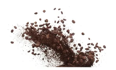 شماره تماس