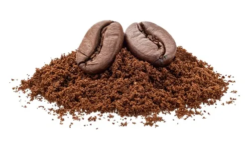 قهوه عربیکا کنیا