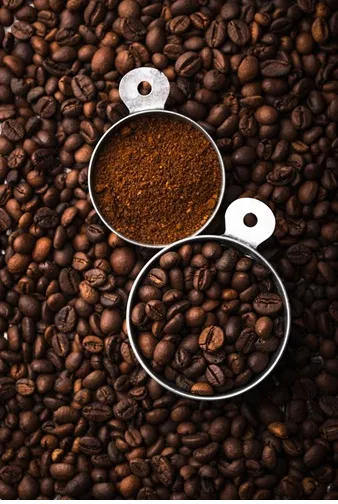 دان قهوه روبوستا چری