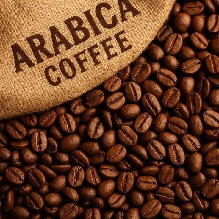 قیمت و خرید قهوه عربیکا اصل