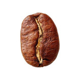 قهوه عربیکا