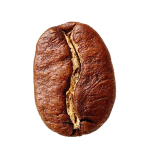 قهوه عربیکا