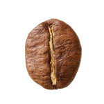 قهوه روبوستا